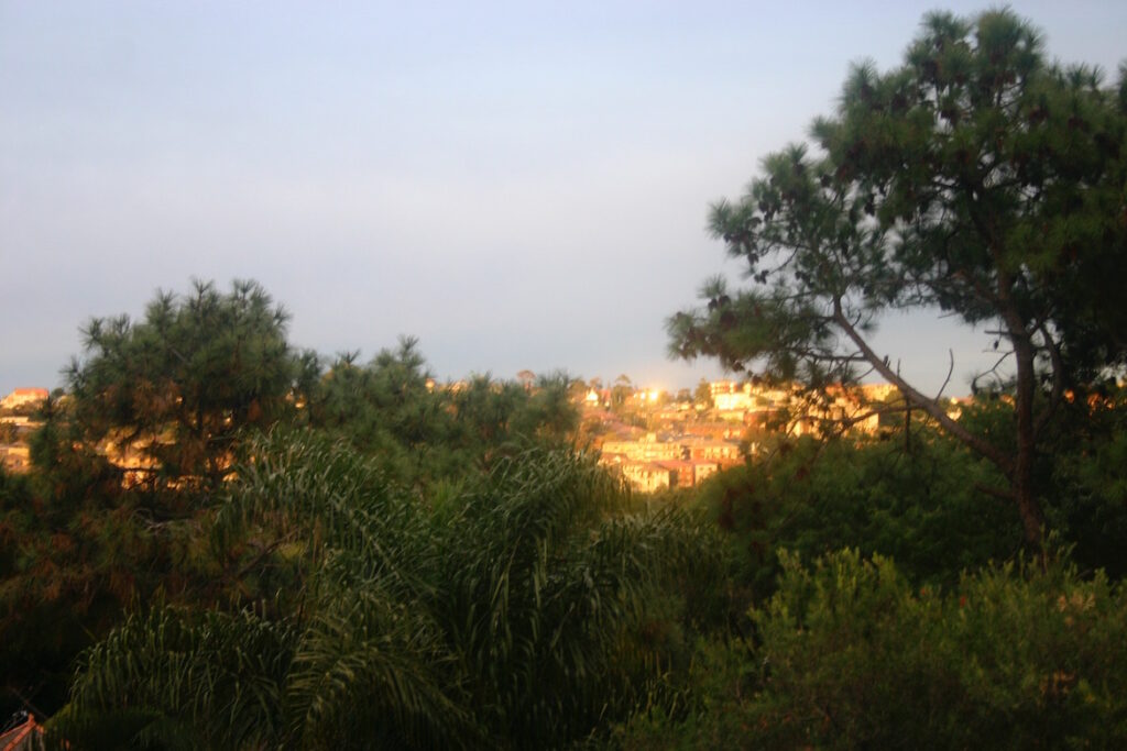 sunrise-coogee