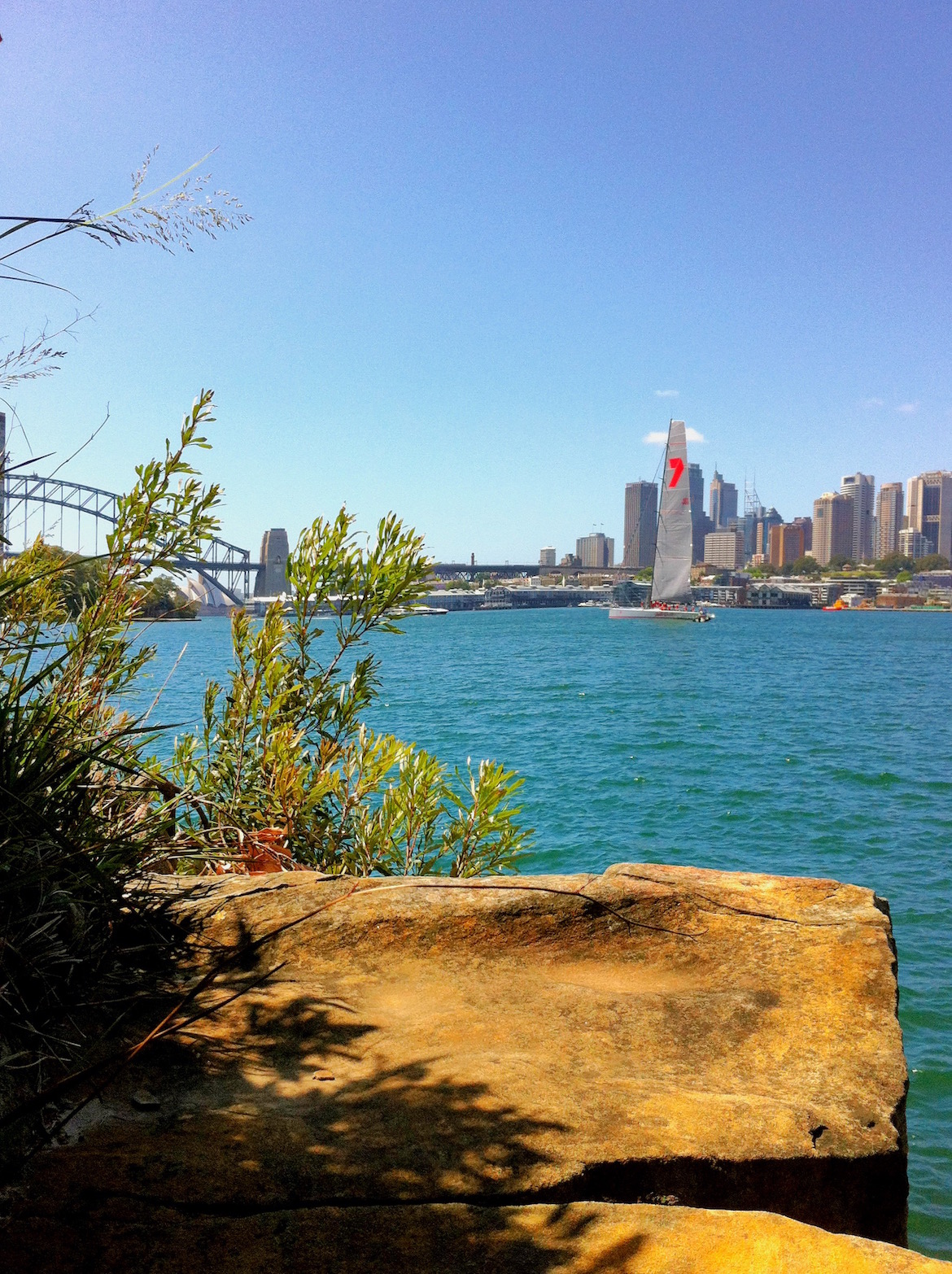 a-rocky-seat-and-wild-oats