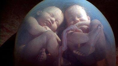 two-babies-womb