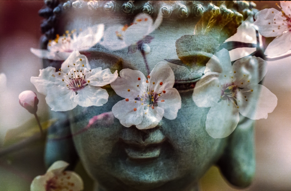 exotic-statue-flowers