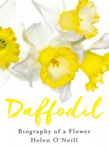 book-cover-of-daffodil