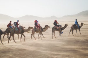 a-camel-train
