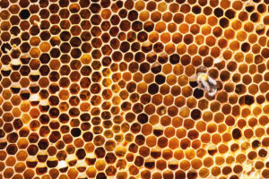 beehive