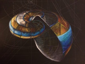 shell-fibonacci