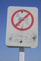 council-sign-clovelly.jpg