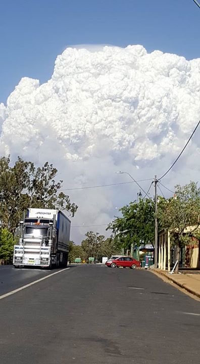 bush-fire-storm-cloud