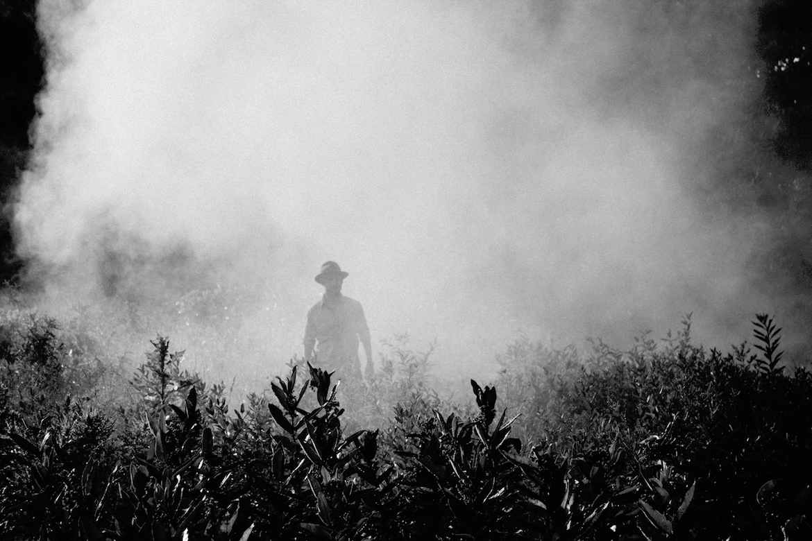 man-bushfire-nature