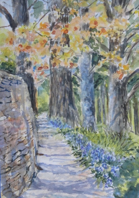 conifer-walk-with-bluebells