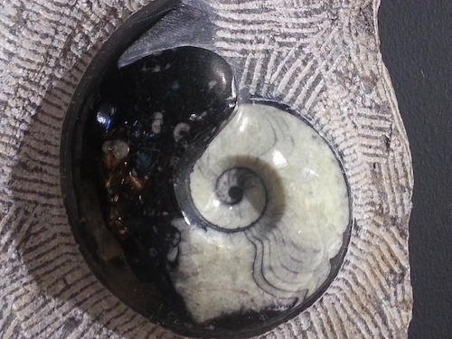 tao-or-yin-yang