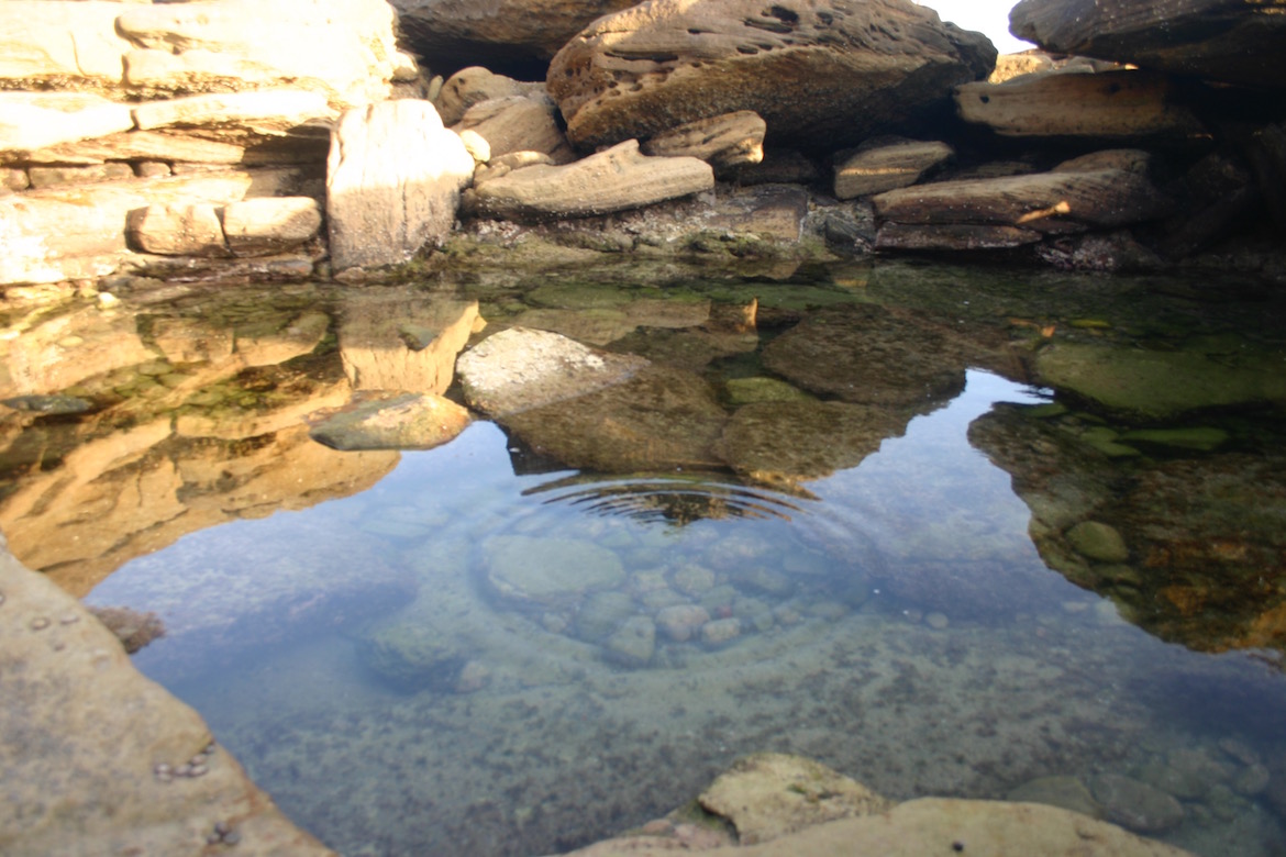 Clovelly pool