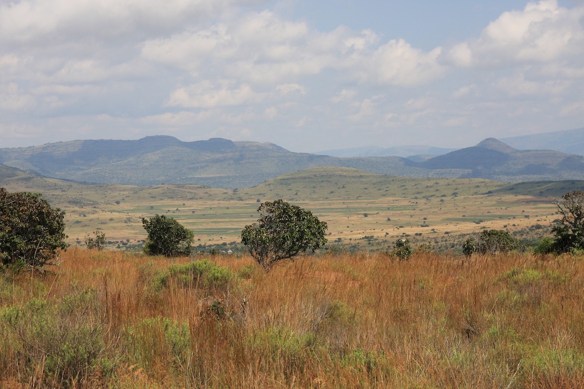 south-africa-landscape