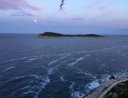 Return to Cavtat…uvijek!