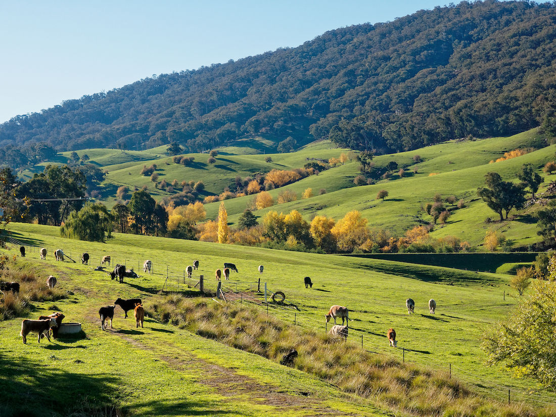 shutterstock-farm-scape
