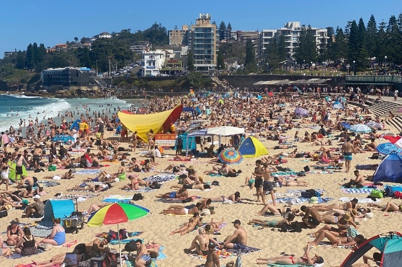 crowded coogee beach