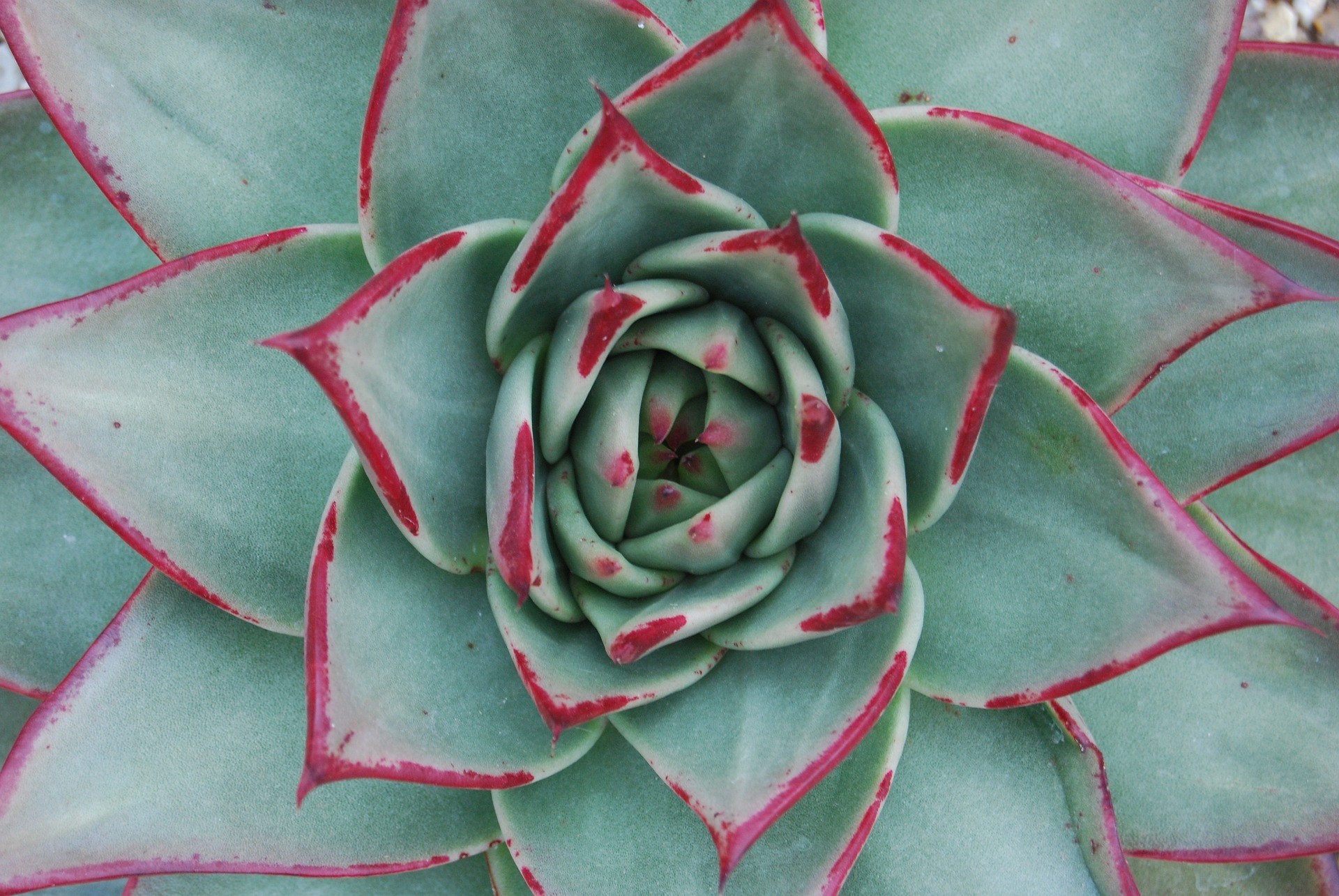 Image by deanmarston432 from Pixabay