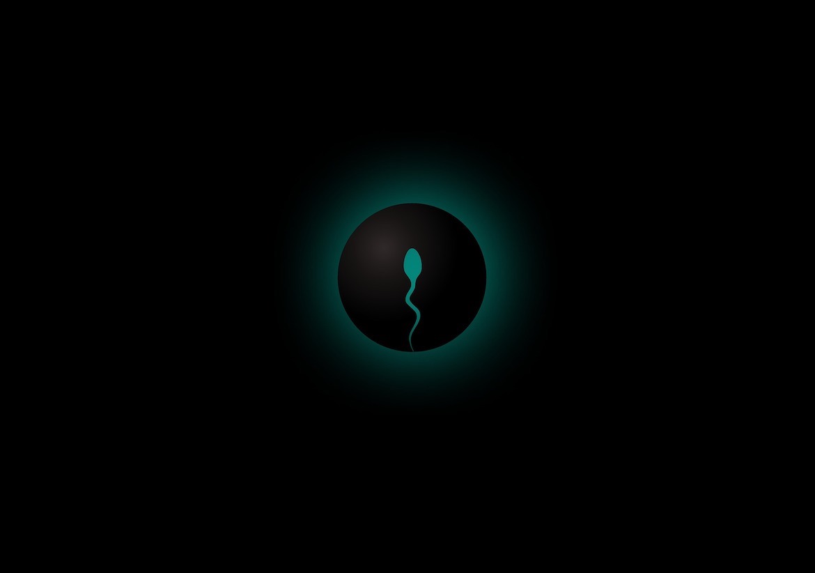 conception
