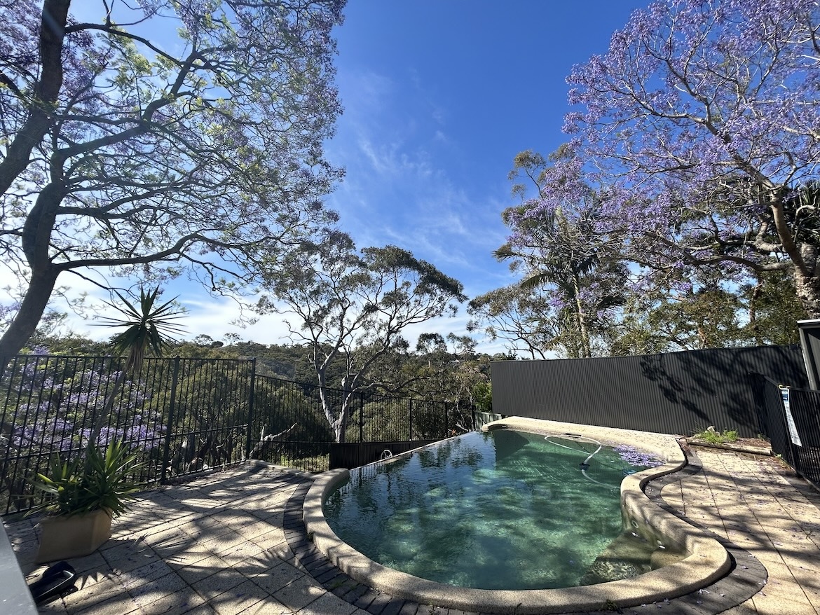 Nature at Yarrawarrah