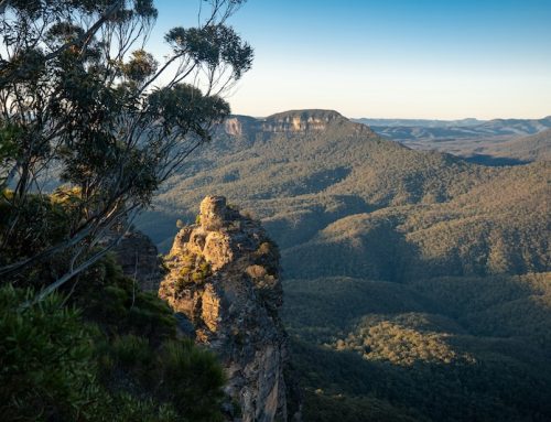 AUSTRALIAN GOSPEL by Lech Blaine: A Review of the Book