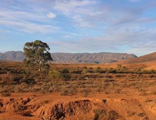 A Sunburnt Country