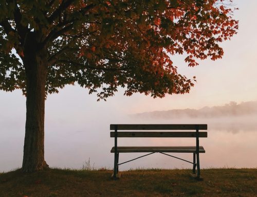 A Guest Post on Ageing